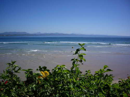 byron-bay-spot-1