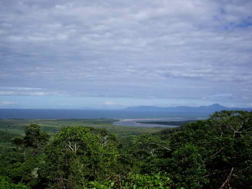 lookout-cape-tribulation