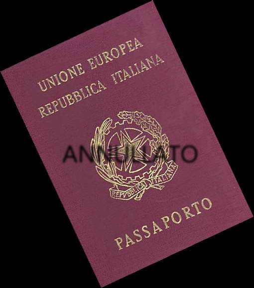 Passport - Annulled