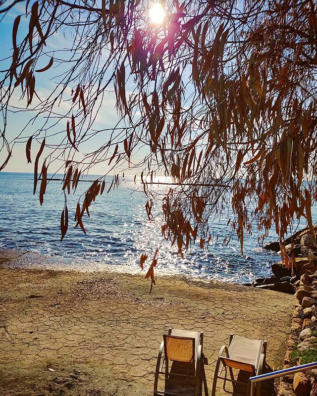 Feeling the spring in the morning walk #limassol #cyprus #sea #travel #travelling #toptags #visiting #traveler #instatravel #instago #wanderlust #trip #photooftheday #lifeofadventure #doyoutravel #tourist #instapassport #instatraveling #mytravelgram #travelgram #travelingram #igtravel #instalife #ig_worldphoto #travelstoke #traveling #travelblog #instago