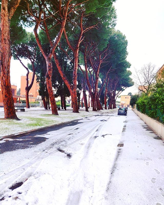 Finally summer 😎🌞•••#sabaudia #italy #Hailstorm #cold #freeze#freezing  #travel #travelling #traveler #instatravel #trip #photooftheday #lifeofadventure #instapassport #instatraveling #mytravelgram #travelgram #travelingram #igtravel #instalife #ig_worldphoto #traveling #travelblog #instago #travelstoke