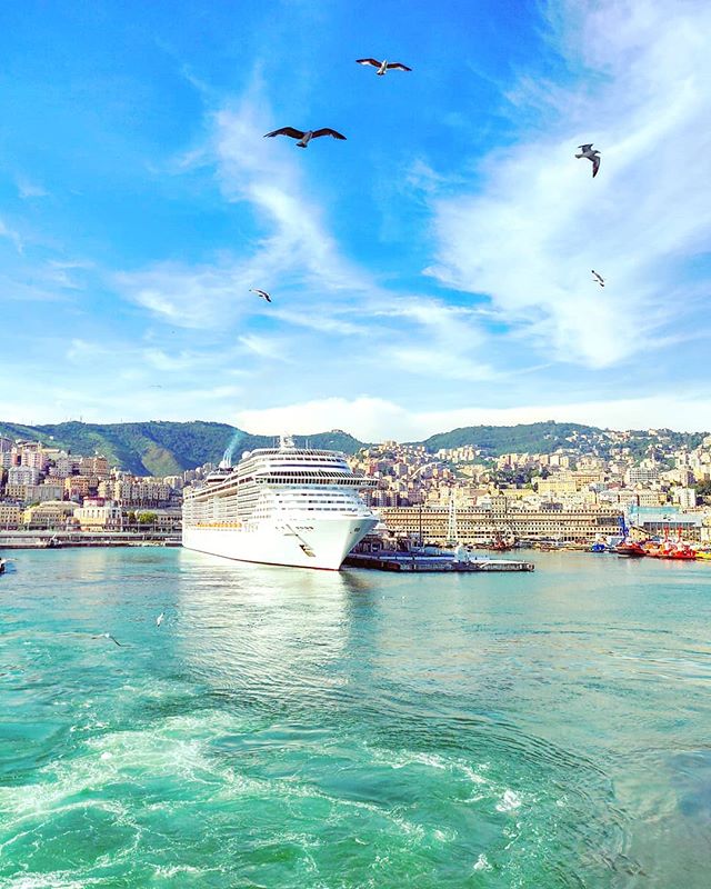 Bye bye Genoa •••#genova #seagull #sailor #cruising #cruise #crew #sailing #travel #traveling #traveler #instatravel #instapassport #instatraveling #travelgram #travelingram #igtravel #travelblog #sea #travelstoke