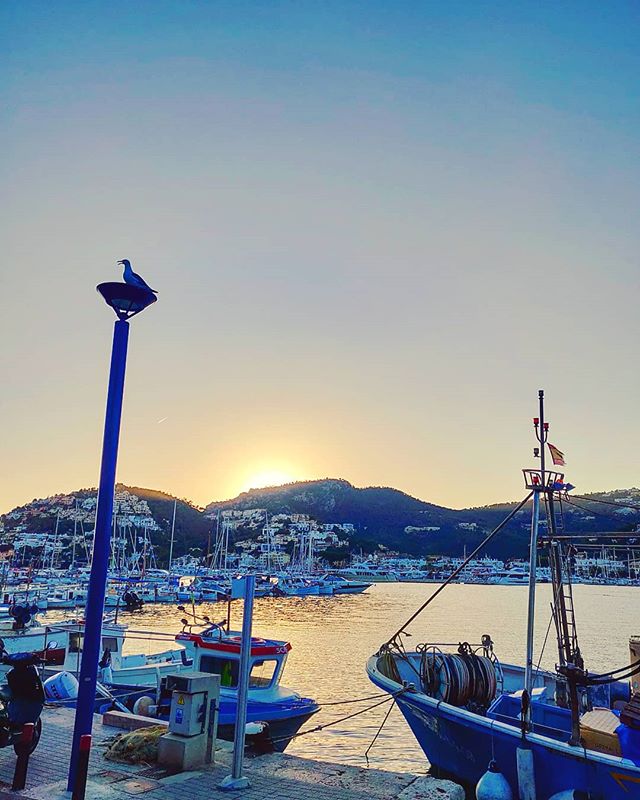 Don't be shy, why do you shadow behind the hill? •••#andratx #sunset #fisherman #dust #sun #cruising #cruise #crew #sailing #travel #traveling #traveler #instatravel #instapassport #instatraveling #travelgram #travelingram #igtravel #travelblog #sea #travelstoke