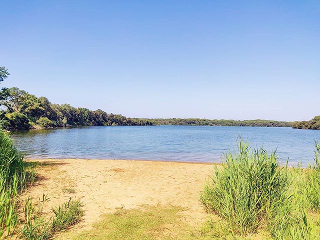 Not only the beach... •••#sabaudia #lake #circeo #nationalpark #sand #relax #travel #travelling #traveler #instatravel #trip #lifeofadventure #instapassport #instatraveling #mytravelgram #travelgram #travelingram #igtravel #instalife #ig_worldphoto #traveling #travelblog #instago #travelstoke