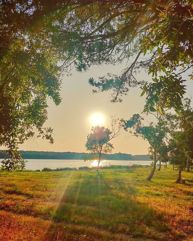 Can you feel the warm vibes of summer, do you? ️😎🤙•••#sabaudia #lake #sunset #tree #igersitalia #igerslatina #sunglare #travel #travelling #traveler #instatravel #trip #lifeofadventure #instapassport #instatraveling #mytravelgram #travelgram #travelingram #igtravel #instalife #ig_worldphoto #traveling #travelblog #instago #travelstoke