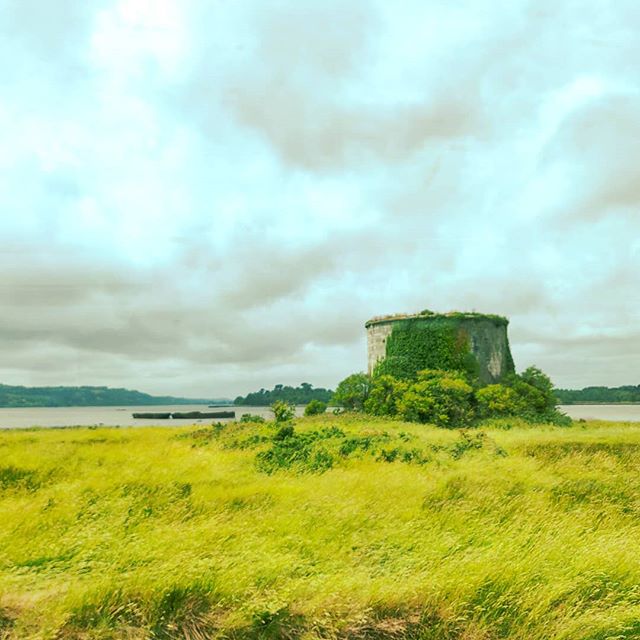 Ireland countryside journey •••#cork #ireland #train #postcard #clouds  #travel #travelling #traveler #instatravel #wanderlust #trip #lifeofadventure #doyoutravel #instapassport #instatraveling #mytravelgram #travelgram #travelingram #travelstoke #traveling #travelblog #instago