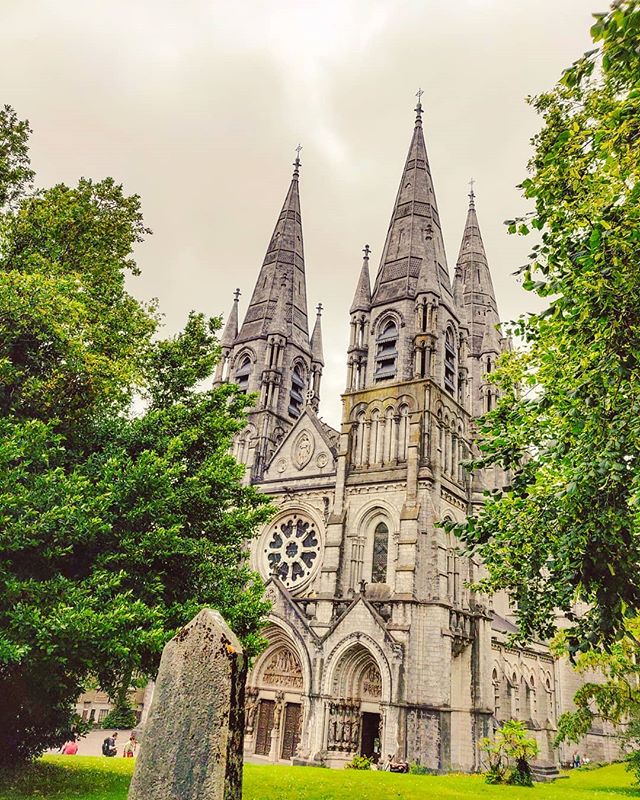 Saint Fin Barre's Cathedral in Cork, Ireland •••#cork #ireland #cathedral #gothic #green #tree  #travel #travelling #traveler #instatravel #wanderlust #trip #lifeofadventure #doyoutravel #instapassport #instatraveling #mytravelgram #travelgram #travelingram #travelstoke #traveling #travelblog #instago