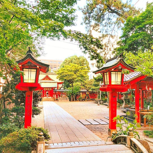 Calm down and relax ⛩️•••#fukuoka #temple #japan #garden #travel #travelling #traveler #instatravel #wanderlust #trip #lifeofadventure #doyoutravel #instapassport #instatraveling #mytravelgram #travelgram #travelingram #travelstoke #traveling #travelblog #instago