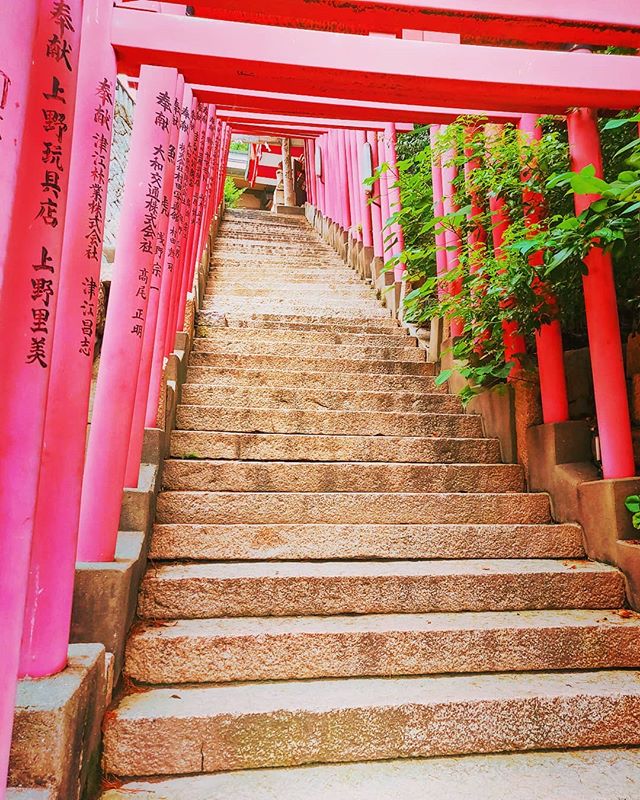 The stairs to the temple ⛩️•••#shimonoseki #temple #japan #maidirebanzai  #travel #travelling #traveler #instatravel #wanderlust #trip #lifeofadventure #doyoutravel #instapassport #instatraveling #mytravelgram #travelgram #travelingram #travelstoke #traveling #travelblog #instago