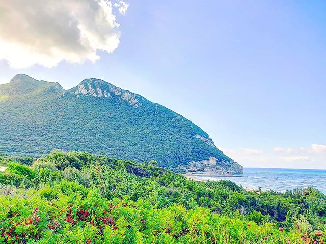 Postcard from home•••#sabaudia #circeo #parconazionalecirceo #park #sea #beach #sand #clouds  #nature #theoutdoorfolk #nature_lovers #naturephotography #natureshots #outdoors #nature_good #getoutside #earthgallery #tree_magic #tree #natureworld_photography #beautyofnature #in2nature #ig_naturelovers #ig_nature #natureswonder #ig_naturevibes #naturegram #mothernature