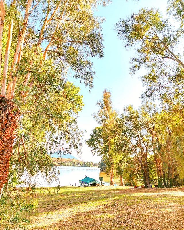 Lake; relax mood 🤙🏞️•••#sabaudia #lake #tree #grass #sunglare #circeo #nature #theoutdoorfolk #nature_lovers #naturephotography #natureshots #outdoors #nature_good #getoutside #earthgallery #tree_magic #tree #natureworld_photography #beautyofnature #in2nature #ig_naturelovers #ig_nature #natureswonder #ig_naturevibes #naturegram #mothernature