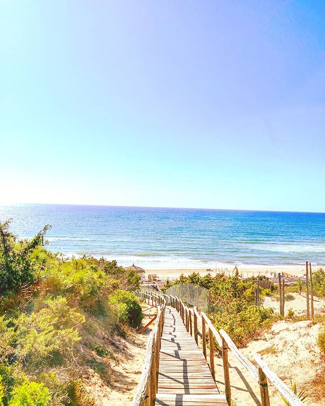 Endless summer vibes 🤙 #sabaudia #travelawesome #summertime #beachwalk #travelingram #traveladdict #instatravel #travelling #travelblogger #summervibes #beachday #travelphotography #traveling #travelgram #summer #travels #beachlife #traveltheworld #beach #sand #travelblog #september