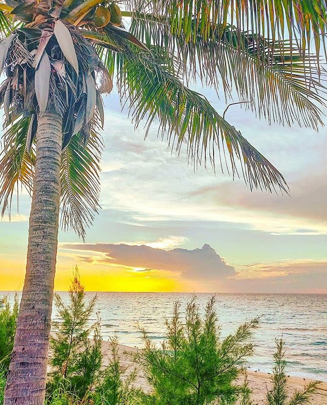 Postcard from caribbean 🇧🇸 🤙 #bahamas #travelphotography #travelling #traveller #bimini #sunset #travelawesome #sunset_ig #traveladdict #sunset_madness #travels #travelgram #beachlife #biminiisland #instatravel #traveler #travel #sunsets #beach #traveling #travelblogger #biminibahamas  #sunset_pics