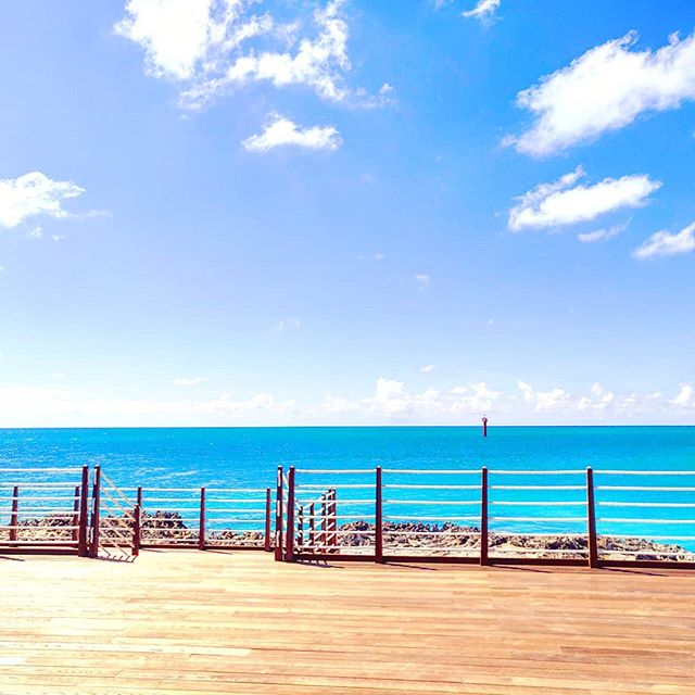 The place where you need to be in Ocean Cay🥂😎🤙🇧🇸 #island #travelislife #oceancaymscmarinereserve #oceancay #travelers #traveladdict #bahamas #traveling #travelling #travelblog #bahamas🇧🇸 #bahamas #travelingram #traveller #traveltheworld #travels #travelphotography #travelgram #oceancay #travel #instatravel #traveler #travelblogger #islandlife