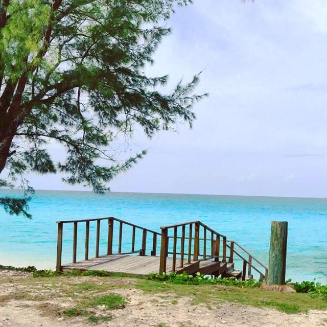 #bimini #bahamas #travellife #travelawesome #beachtime #travelblog #travels #travelingram #traveladdict #travelphotography #travelphoto #traveling #beach #travelblogger #travelgram  #travel #travelling #sea #beachlife #seaside #traveller #beaches #beachday #travelstoke #beachvibes #traveldiaries #seaview #sealife