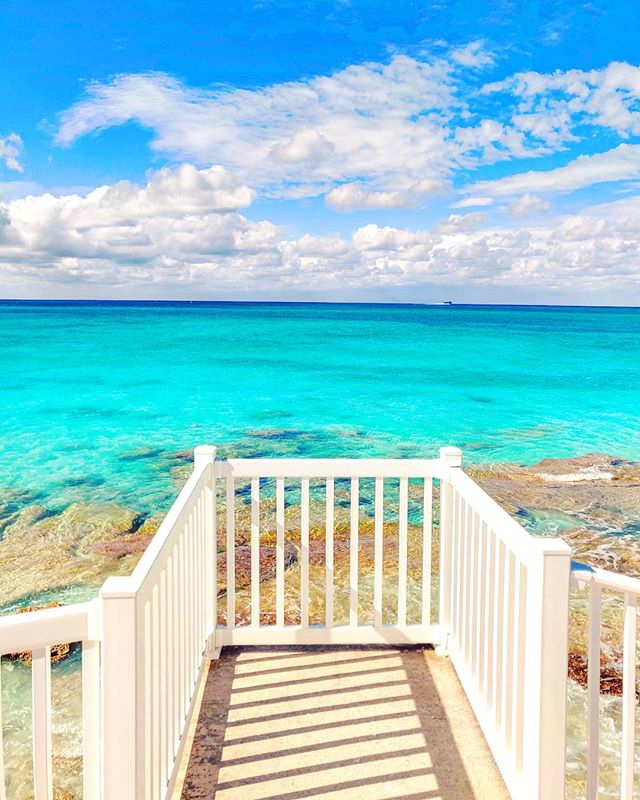 Just another stunning lookout... 🏝️🤙 #bimini #bahamas #travelblog #seaside #traveldiaries #traveler #travels #traveller #traveling #travelling #sea #travelphotography #seascape #seashore #travelgram #travelstoke #traveladdict #travel #island #travelphoto #sealife #islandlife #travelblogger #sea