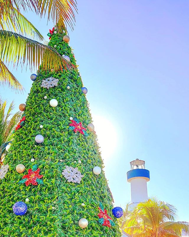 Christmas postcard from Cozumel  #mexico #crew #crewlife #sailing #sailor #cozumel #christmasdecor #travelblog #traveltheworld #christmastree #travelphoto #travellife #traveller #travelpic #travelers #traveldiaries #traveling #travelgram #travelphotography #travelblogger #christmaseve #christmas #travelstoke #traveldiary #travel #travels #traveldeeper #traveladdict #traveler  #travelingram