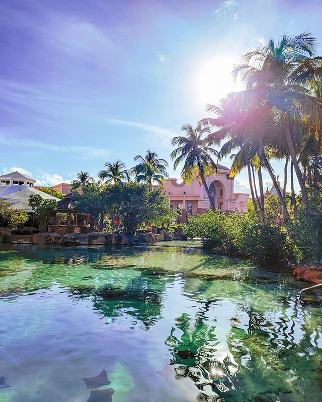 Lost lagoon 🏝️🤙 #nassau #Bahamas #palm #palms #travelingram #travellife #sunsets #travelphoto #traveltheworld #travelblog #sunnyday #travelphotography #atlantis #travelblogger #travelstoke #travel #traveller #sunlight #travelgram #travelling #traveling #traveladdict #sunset #traveldiaries #traveler #travelpics