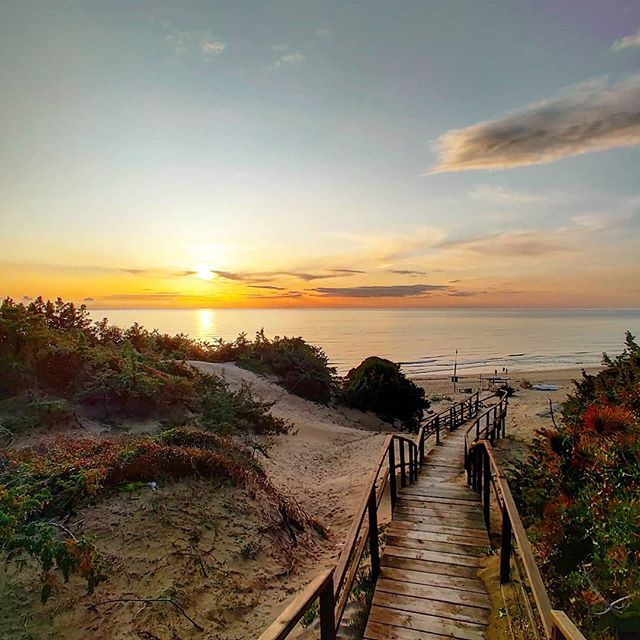 Almost at the dusk point 🤙 #igersitalia #igerlatina #sabaudia #beach #naturephotography #travelphotography #travelling #prilaga #traveler #travelawesome #travelgram #traveladdict #sunset #beachlife #travelstoke #travelblog #nature #seaside #traveller #traveldiaries #traveltheworld #travelingram #travelblogger #traveling #travellife #travel #travelphoto