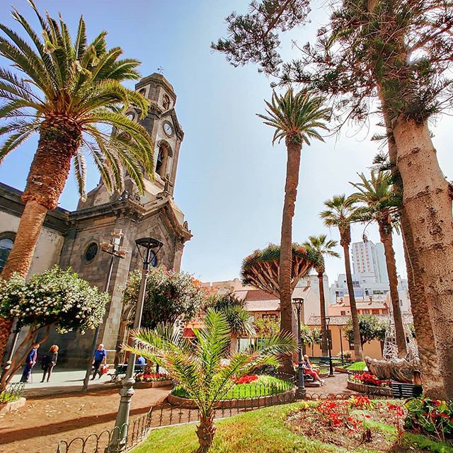 Discovering Puerto de la Cruz ‍♂️🤙 #puertodelacruz #traveller #travelblogger #garden #travels #traveladdict #travelingram #travelgram #travelphotography #travelawesome #traveling #travelstoke #travelpics #travelling #travelphoto #canaryislands #travellife #tenerife #canaries #travelholic #mytravelgram #traveler #traveltheworld #travel