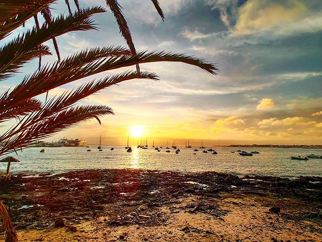 Live intensely 🤙 #corralejo #fuerteventura #travels #seaview #travellife #palm #canaryislands #travelblog #sunrise #sea #traveladdict #travelholic #seaside #seashore #traveller #travelling #sundays #travelstoke #traveling #travelawesome #travelpics #palmtrees #travelphoto #traveler #travelgram #travelphotography #travel #travelingram #sunny #fuerteventura #tbt