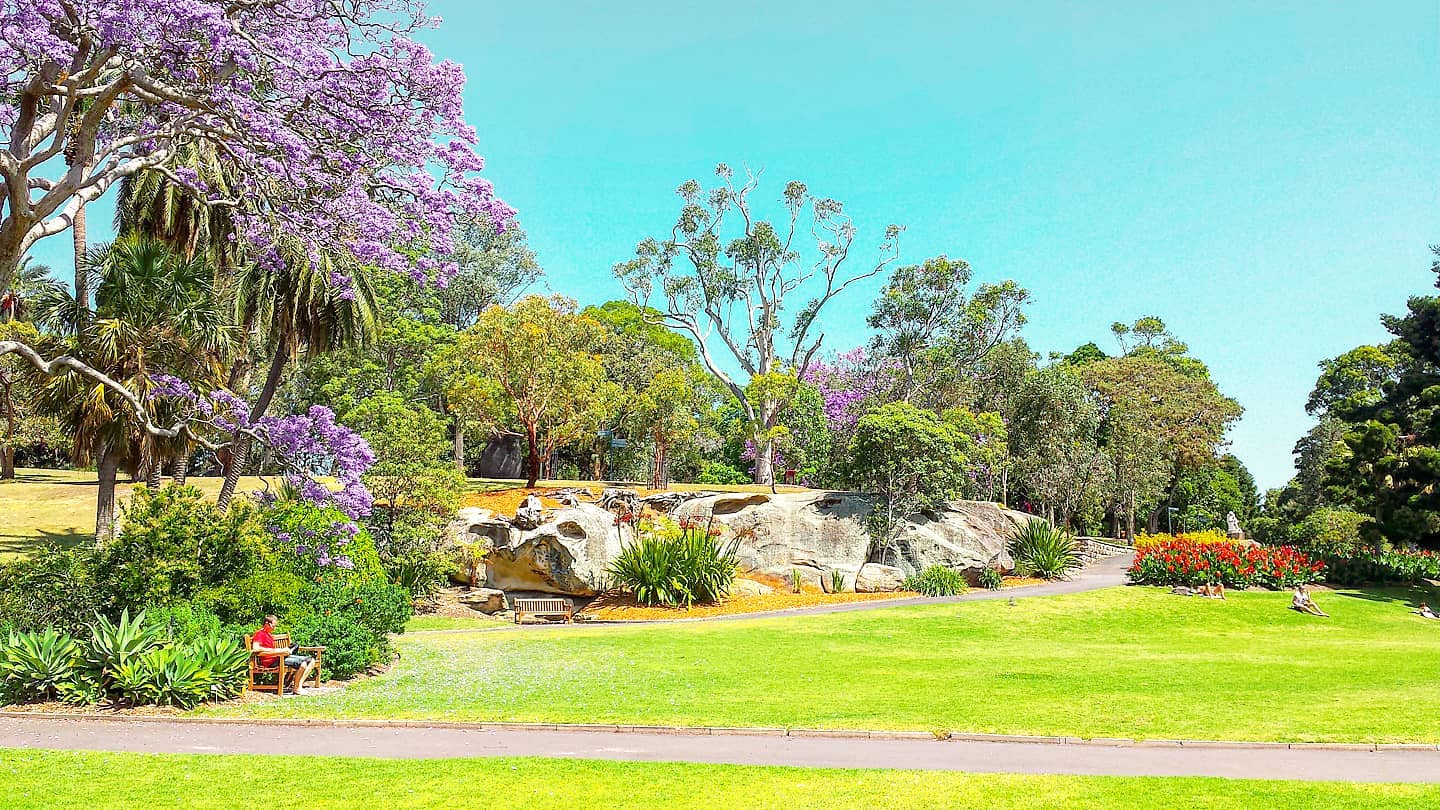 What is needed now 🌳🤙 Royal Botanic Garden, Sydney 2013#australia #downunder #naturephoto #traveling #travelstoke #travelpics #travelingram #travelling #garden #travelphotography #travel #traveladdict #sydney #travellife #travelphoto #traveler #traveller #travelgram #travelawesome #travelblog #green #naturegram #travelholic #sydneylife #travels #nature #tbt