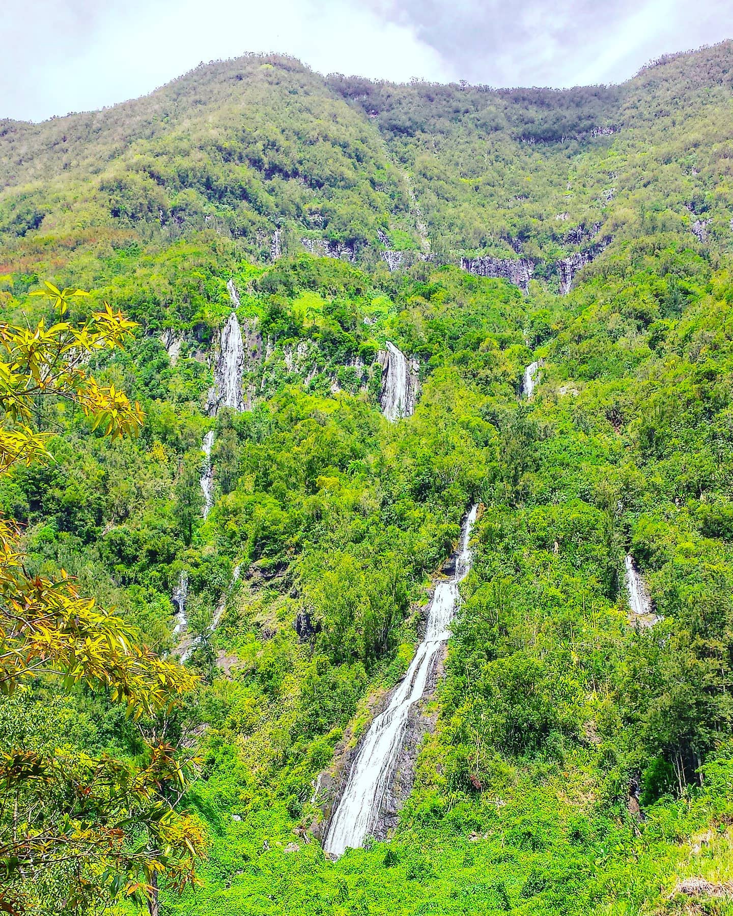 Listen the sound of nature 🤙 Reunion Island 2014#travelblog #naturelover #nature_perfection #traveladdict #travellife #waterfall #travelholic #travelstoke #travelphoto #forest #travelingram #travelgram #green #nature #naturephotography #travelawesome  #travelling #reunion #traveler #travelpics #traveling #natureaddict #travels #travelphotography #travel#pacificocean #island