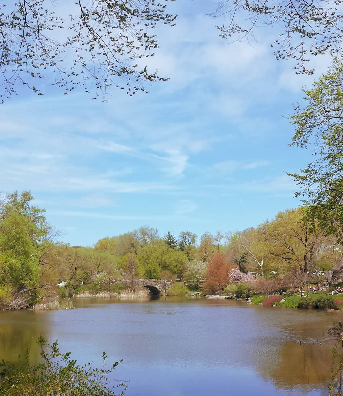 Getting lost in Central Park 🏙️🤙New York, 2015 #nyc #newyork #bigapple #travelstoke #centralpark #travelblog #lake #naturephotography #travels #naturephoto #travelgram #traveller #park #travellife #travel #travelholic #travelawesome #tbt #travelphoto #traveling #traveladdict #traveler #travelpics #naturelovers #nature #green #travelphotography